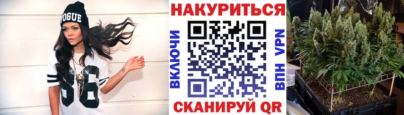 Каннабис OG Kush  Купить  Кемь 